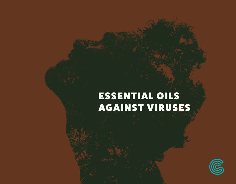 Coronavirus Can Be Stopped By Essential Oils